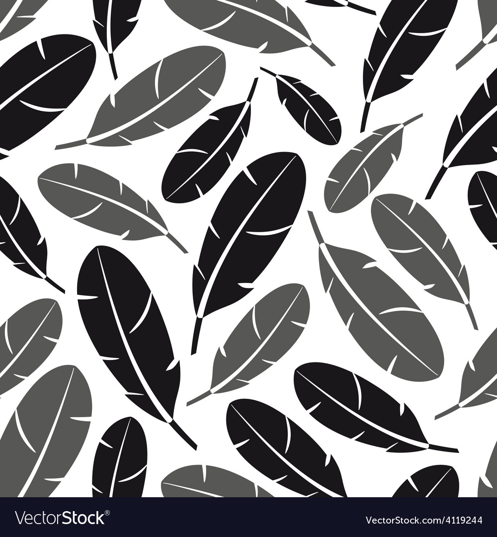 Black and gray feathers seamless pattern eps10
