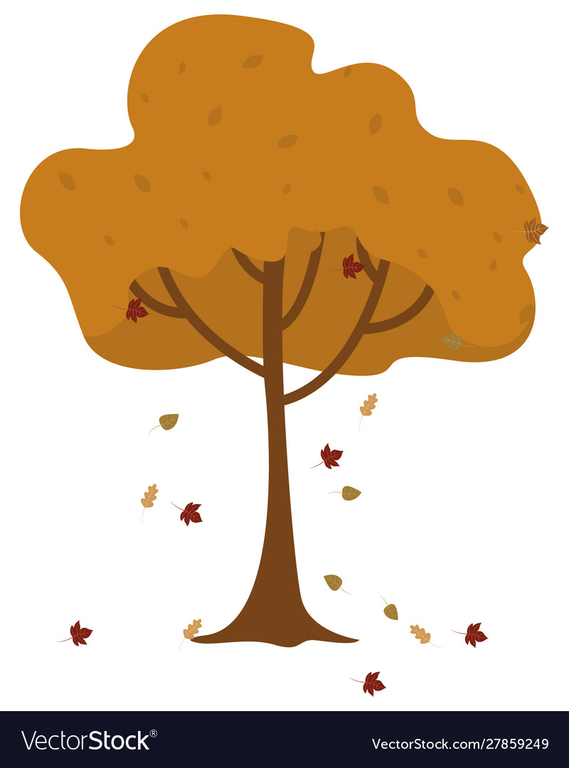 Autumn season in park foliage and tree Royalty Free Vector