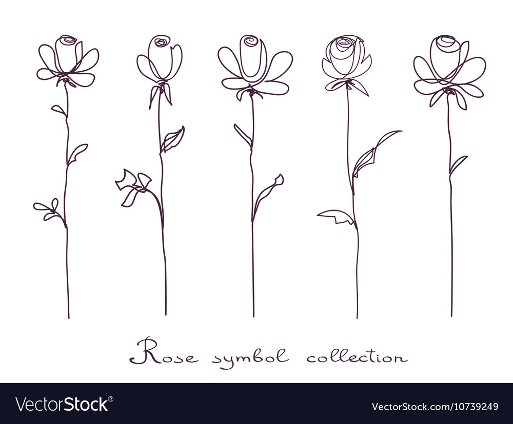 Roses Sketch On White Background Royalty Free Vector Image