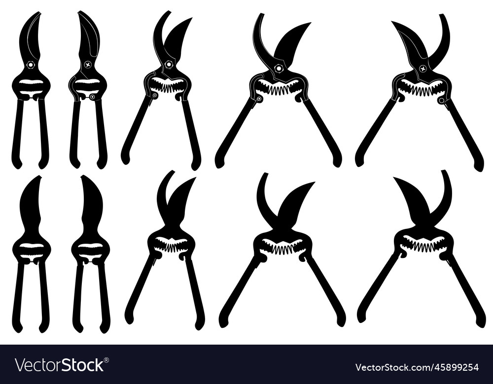 Collection of different pruning shears