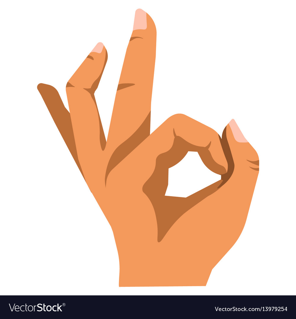 ok or okay hand gesture sign flat isolated vector image