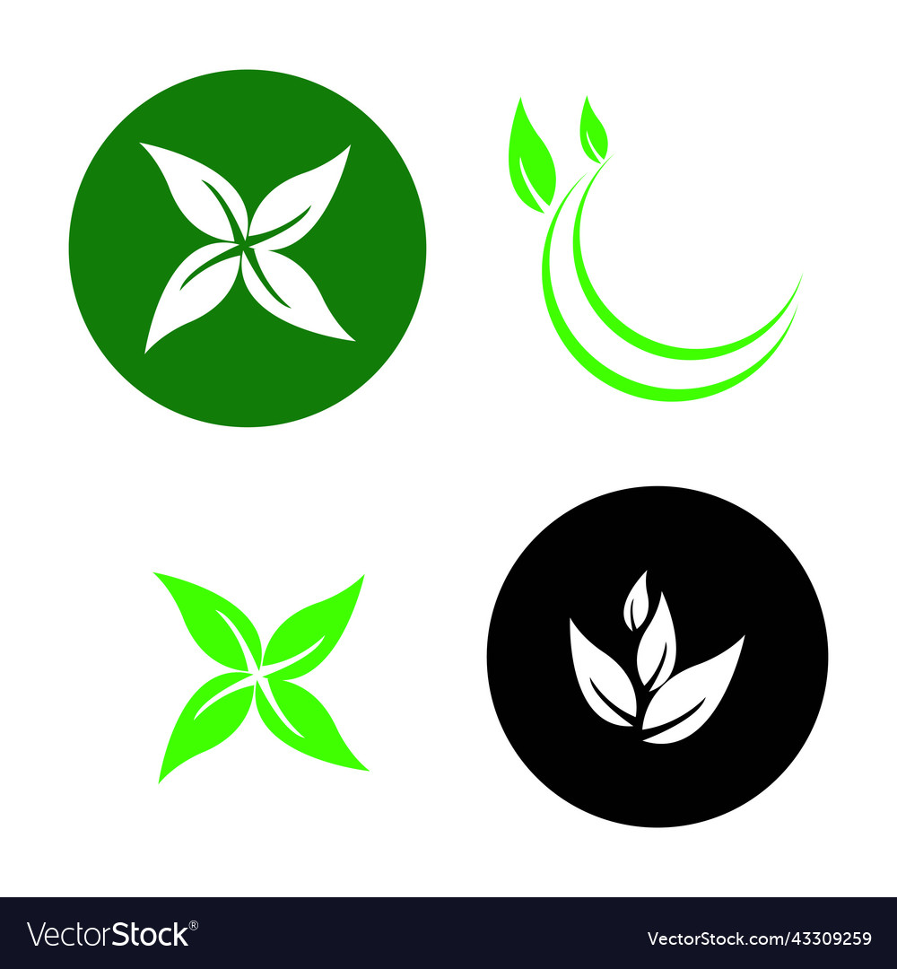 Leaf Logo Royalty Free Vector Image - Vectorstock