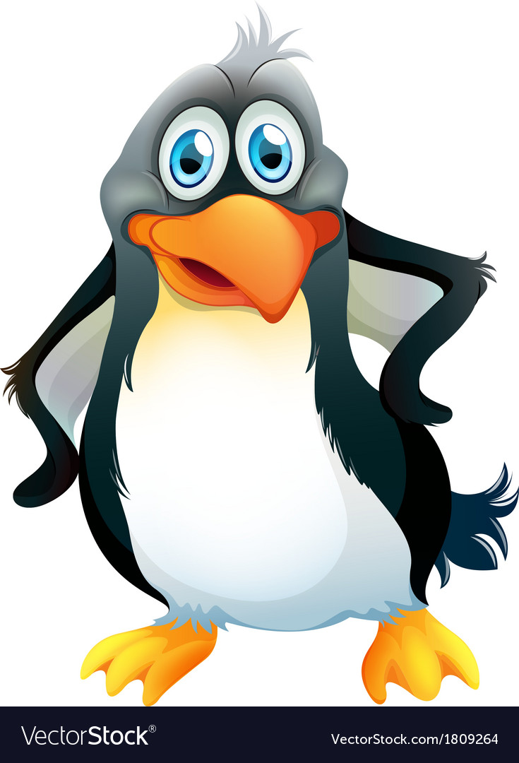 A penguin Royalty Free Vector Image - VectorStock