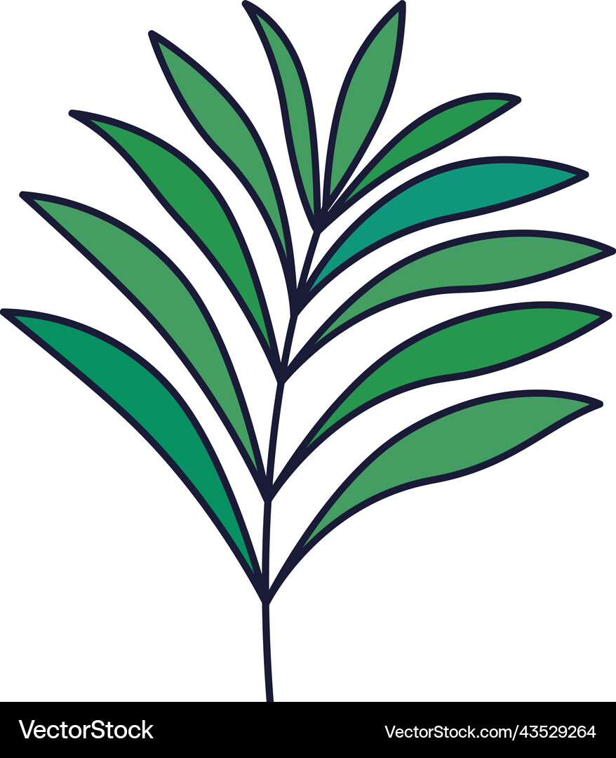 Olive branch design Royalty Free Vector Image - VectorStock