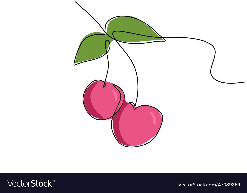 Cherry continuous one line drawing fruit