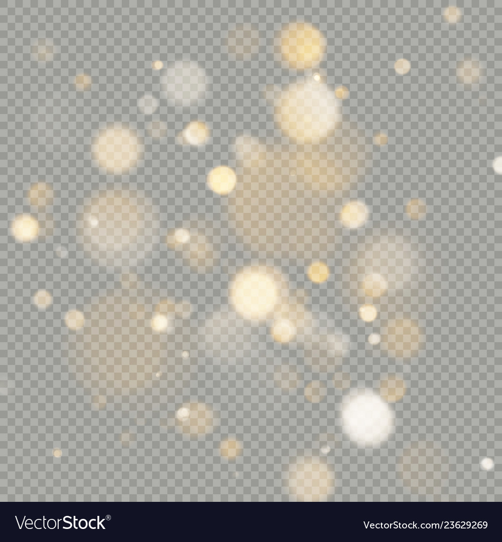 Effect of bokeh circles isolated on transparent vector image Effect of bokeh circles isolated on transparent