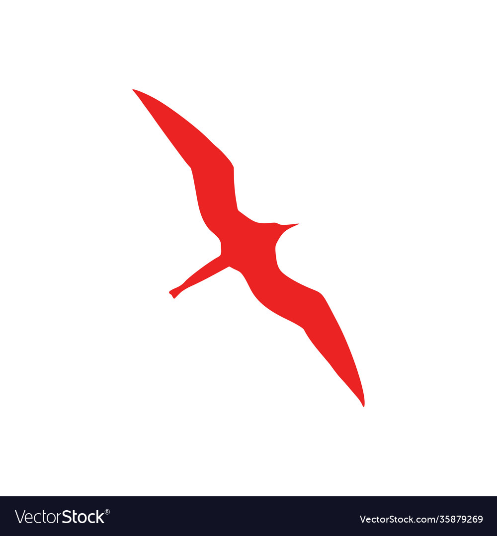 Frigate bird and background