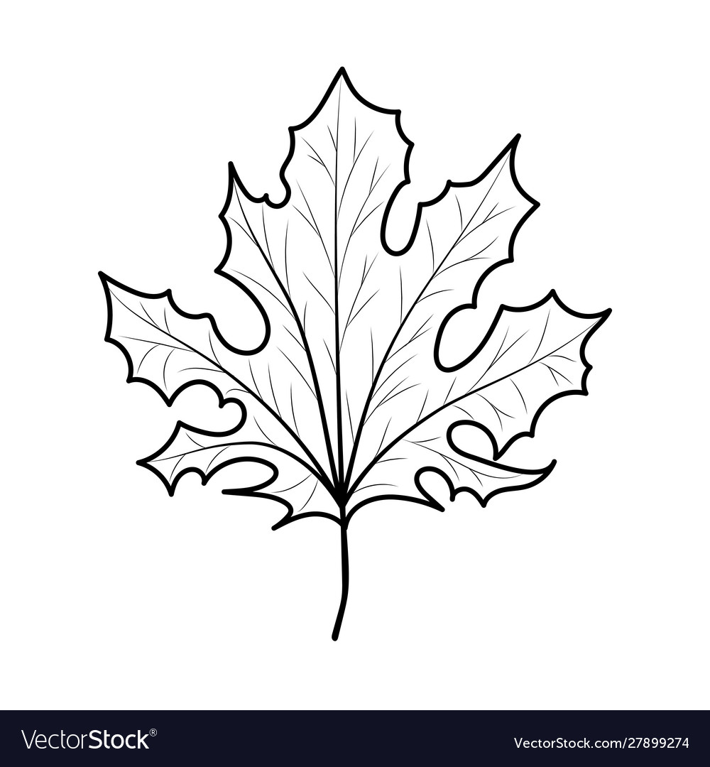 Isolated autumn leaf design