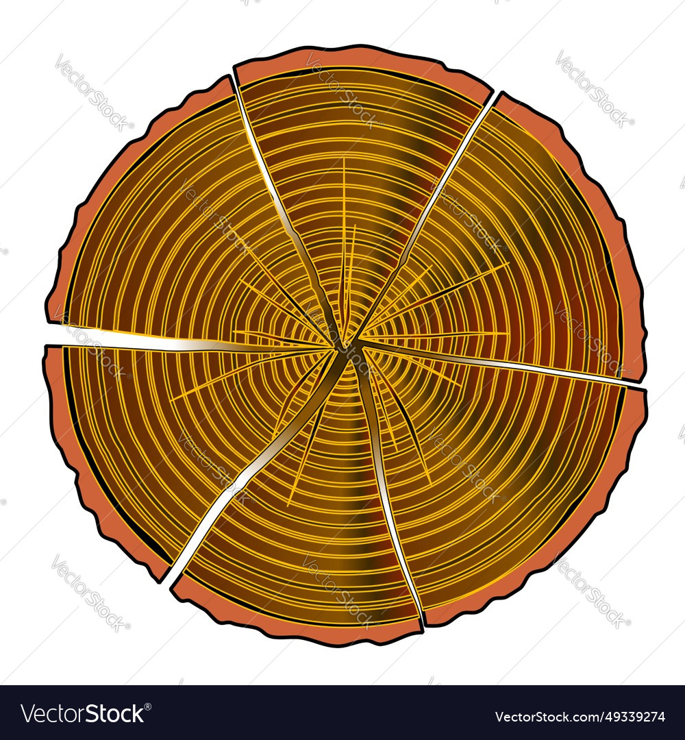 Split log end section