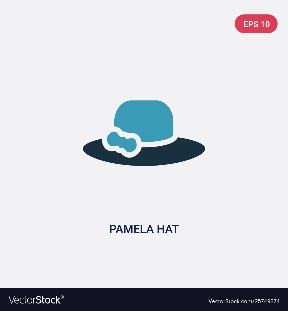 Two color pamela hat icon from summer concept