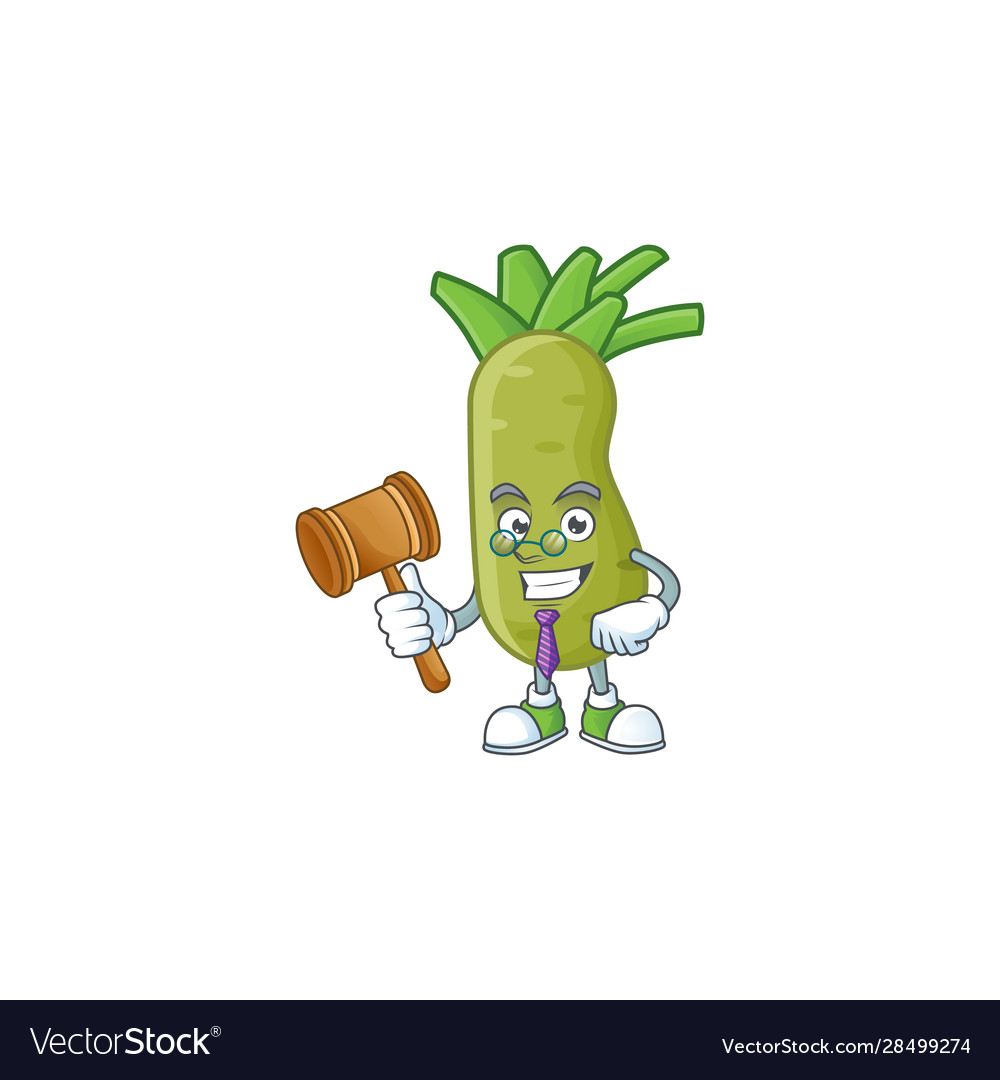 Wasabi Judge Character
