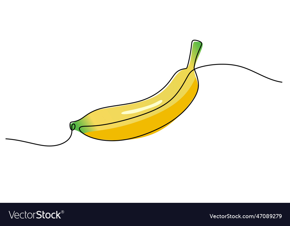 Banana continuous one line drawing fruit vector image Banana continuous one line drawing fruit