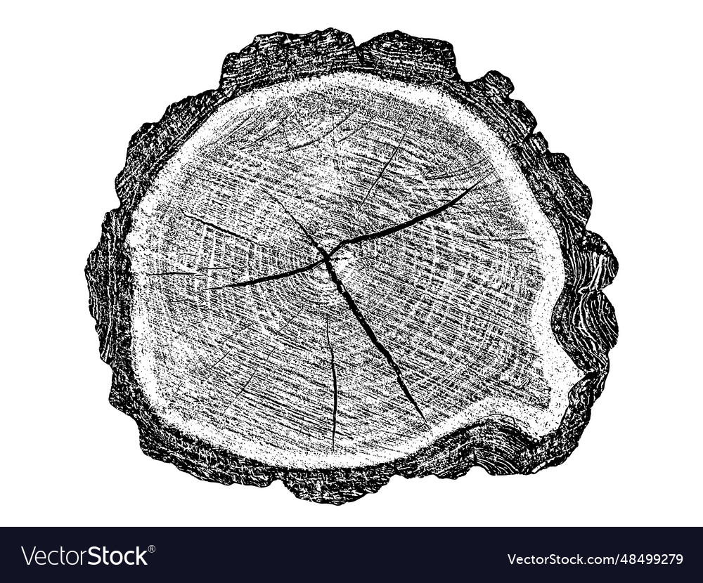 Distressed wood texture Royalty Free Vector Image