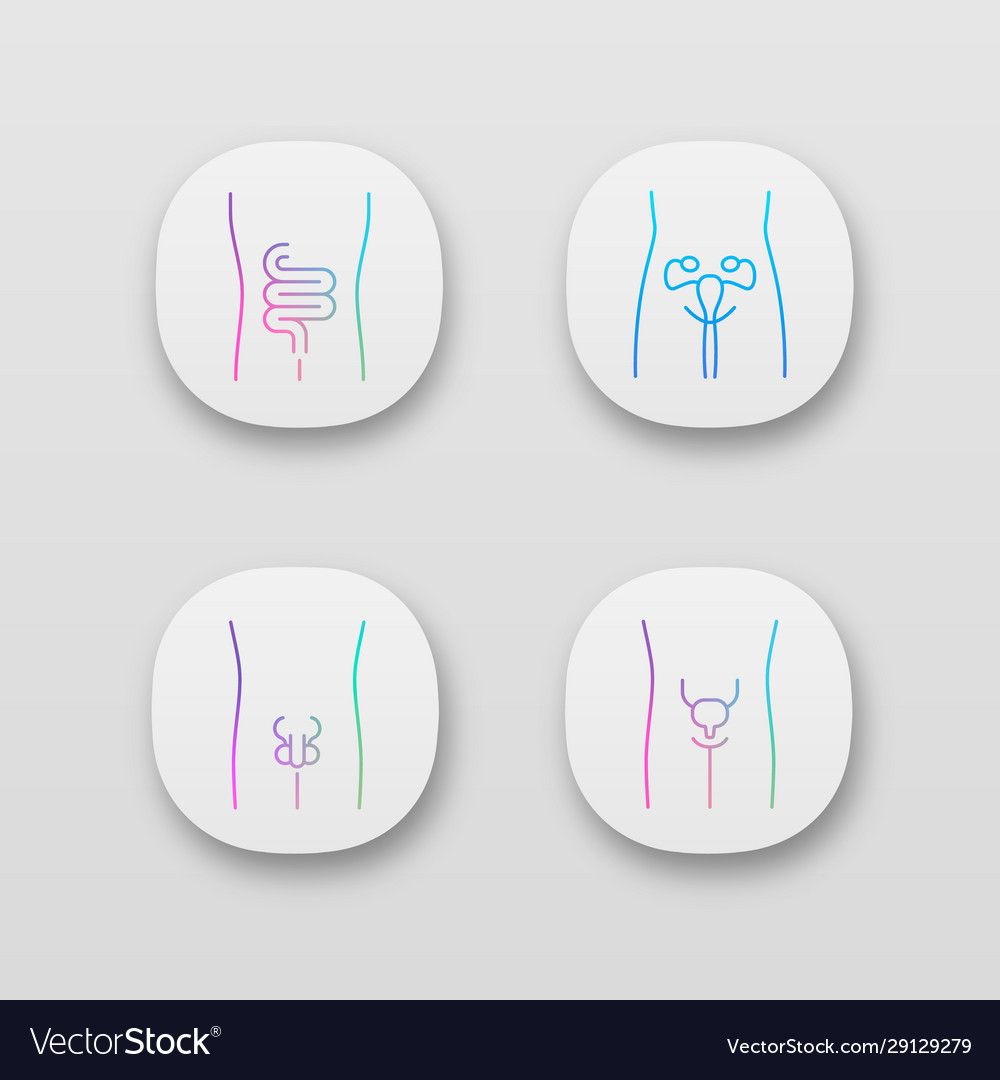 Healthy human organs app icons set intestines