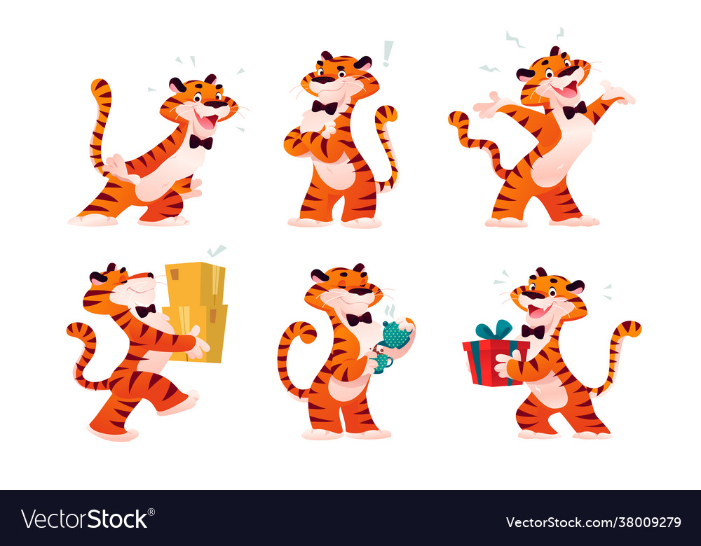 Tiger vector image Tiger