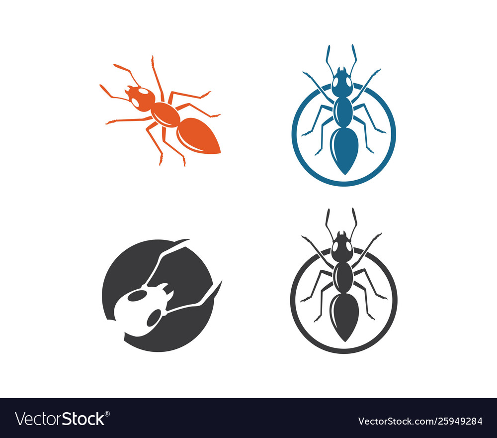 Ant design icons. Муравей логотип. злой муравей. муравей логотип в векторе. ant design icon.