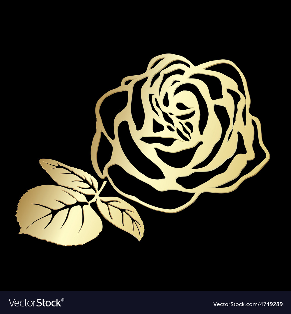 Rose sketch Royalty Free Vector Image - VectorStock