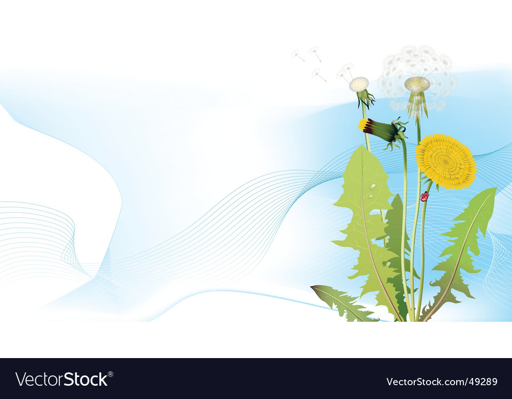 Spring meadows background