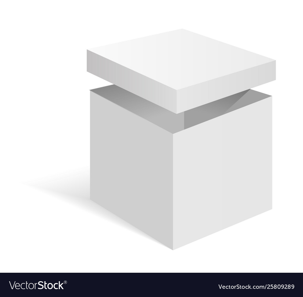 White blank cardboard package box template Vector Image