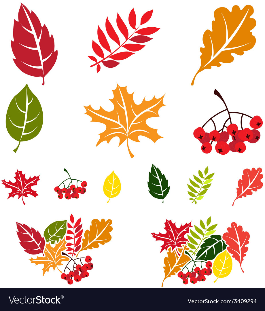 Autumn leaves set flat style