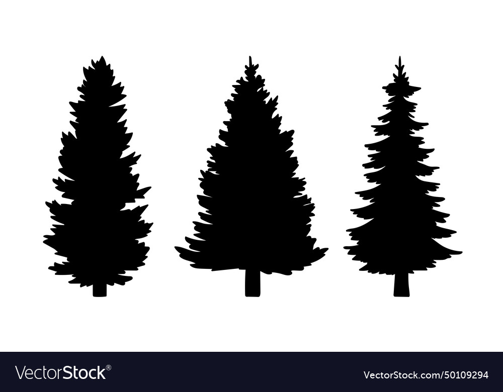 Black silhouettes of fir trees on a white Vector Image