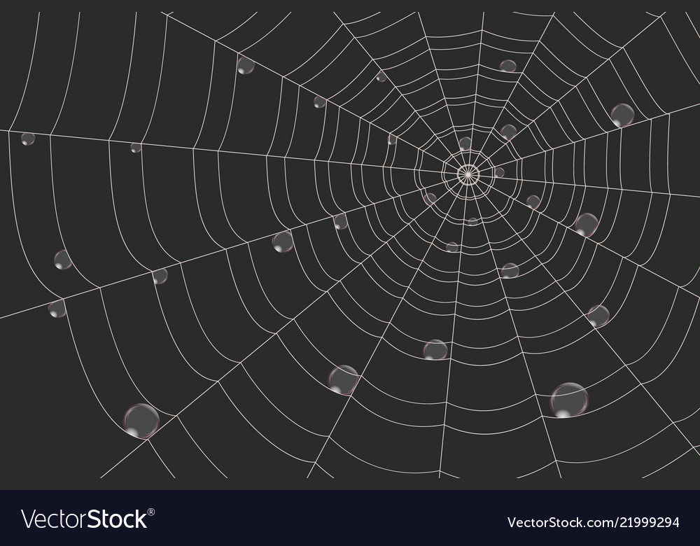 Dew on a grid of concentric cobweb black