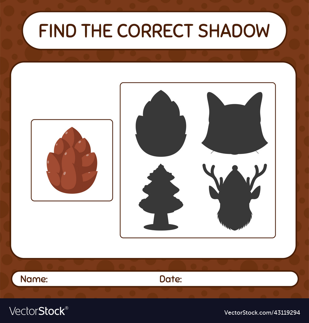 Find the correct shadows game with pine cone vector image Find the correct shadows game with pine cone