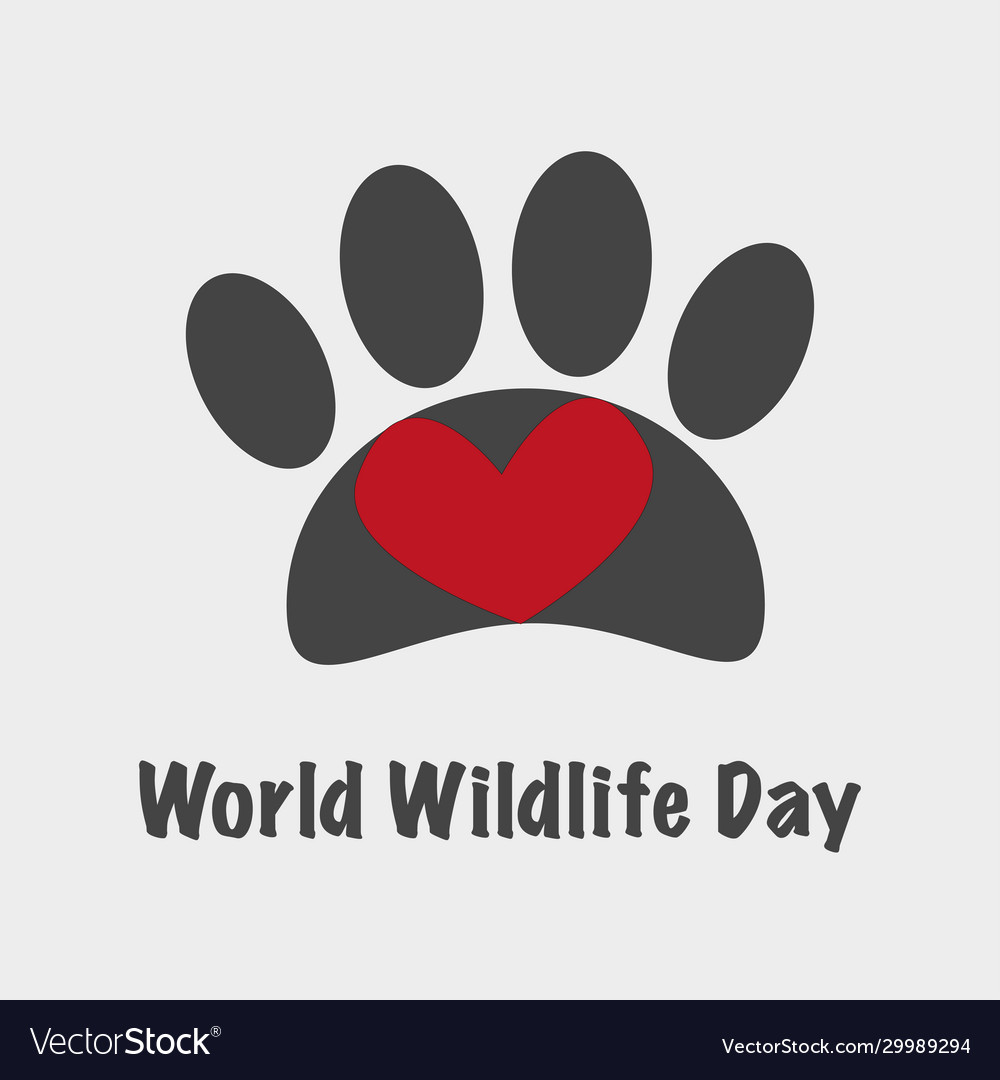 World wildlife day card banner vector image World wildlife day card banner