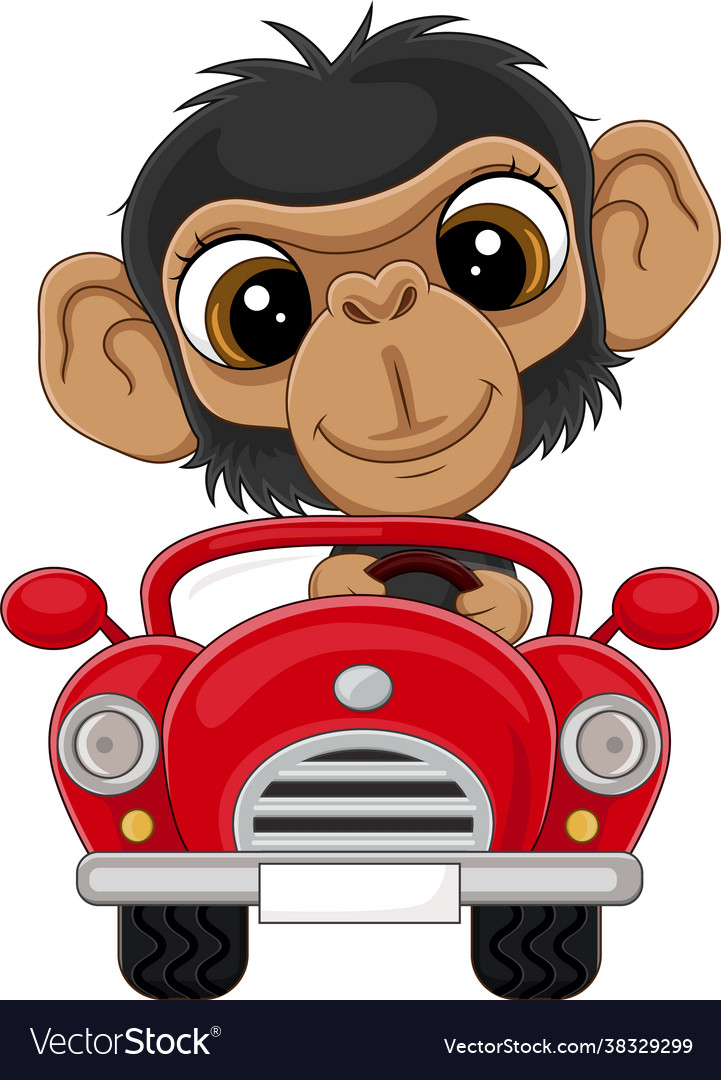 Cartoon baby chimpanzee driving red car Royalty Free Vector