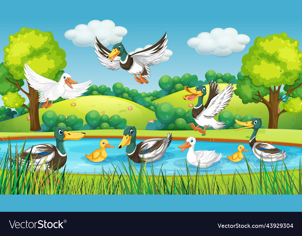 Outdoor scene with cartoon ducks Royalty Free Vector Image