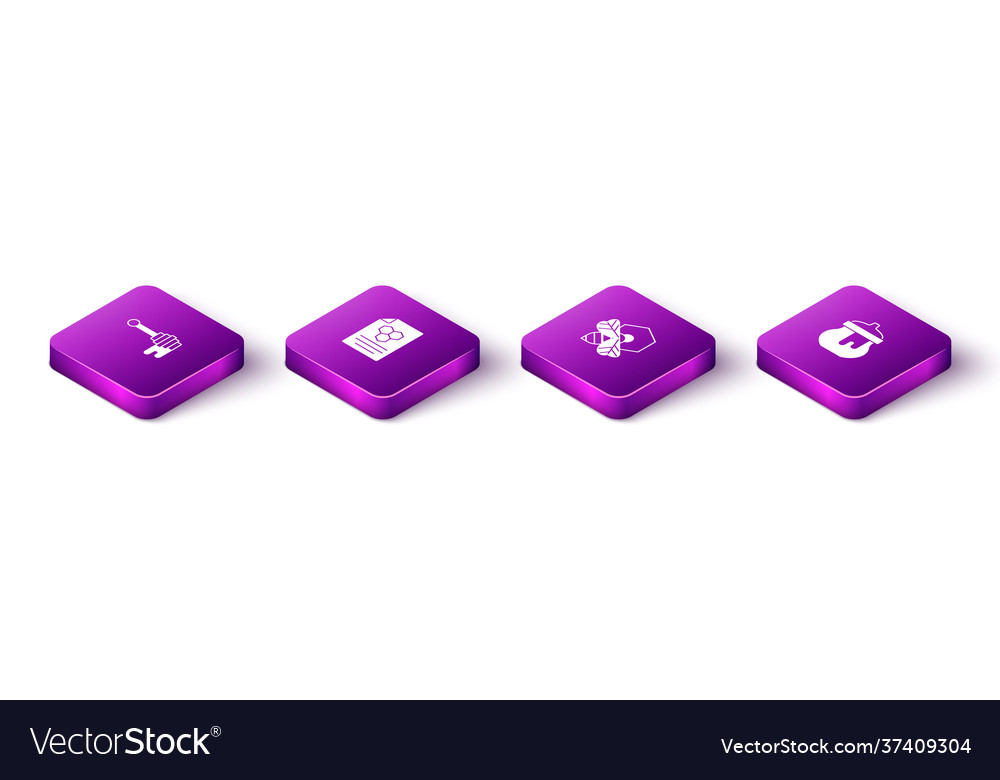 Set isometric honey dipper stick