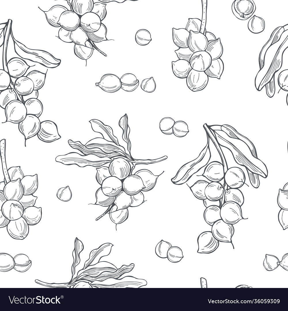 Macadamia Nuts Pattern