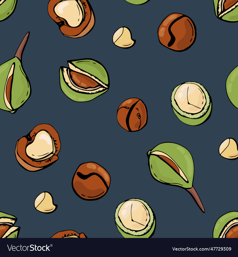 Seamless pattern with macadamia nuts