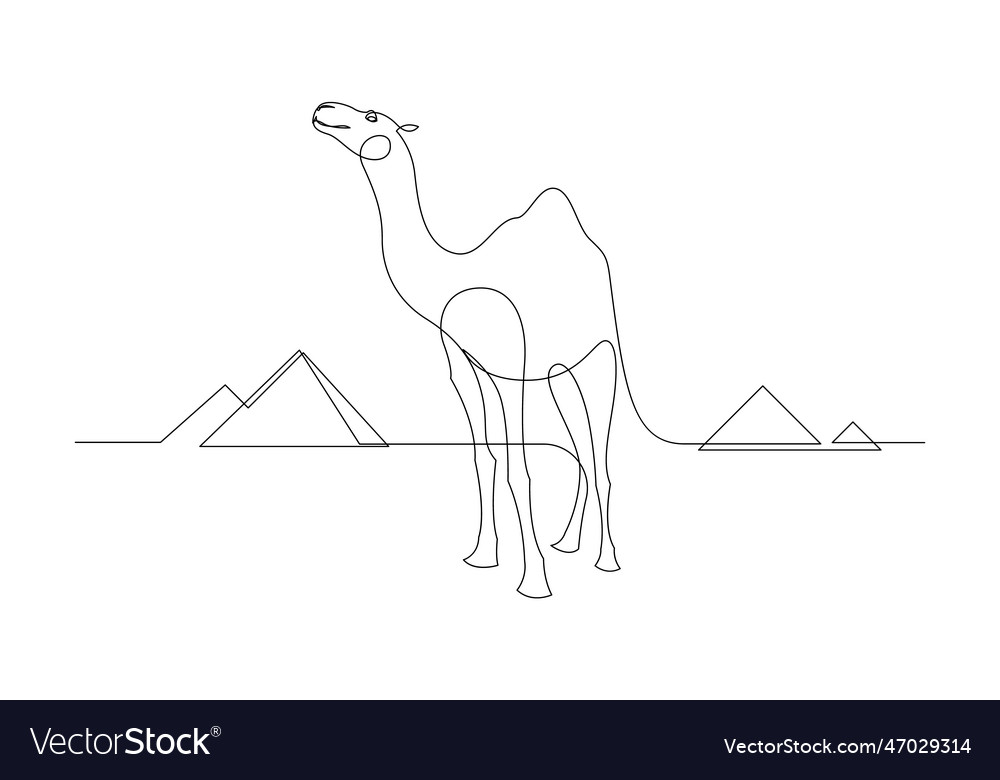 Continuous one line drawing camel walking