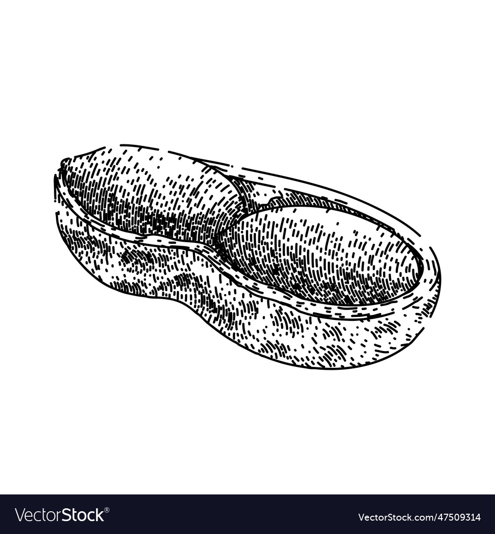 Peanut nut food sketch hand drawn Royalty Free Vector Image