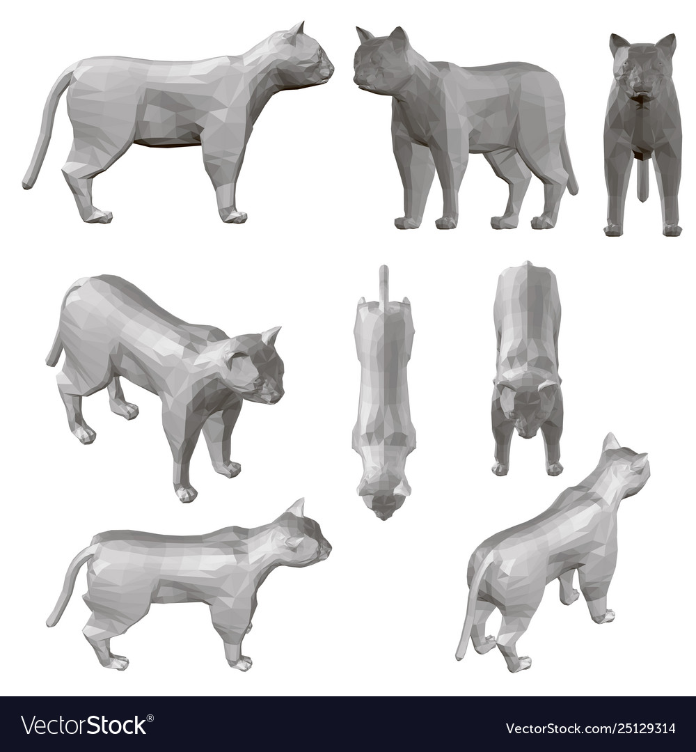Set with polygonal cats in different positions 3d