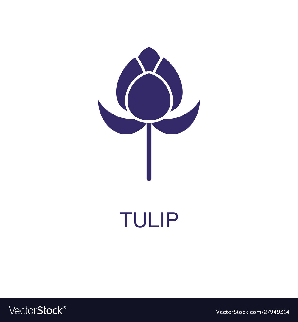 Tulip element in flat simple style on white