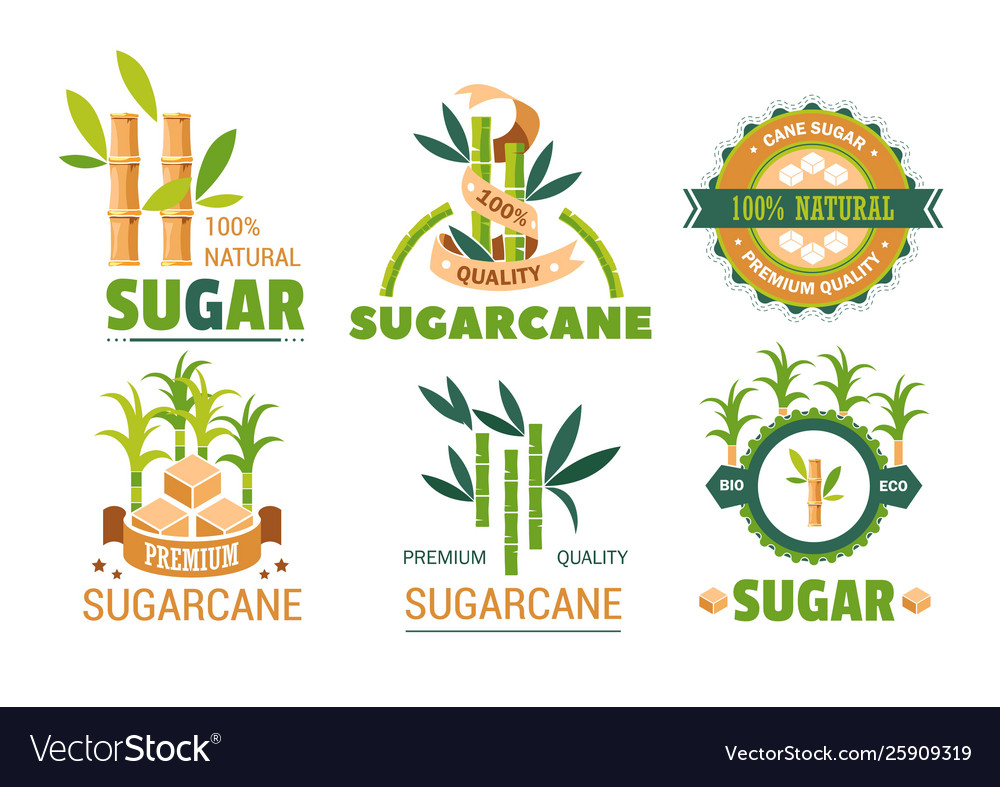 Sugar Cane Isolated Icons Plant And Sweetener Vector Image