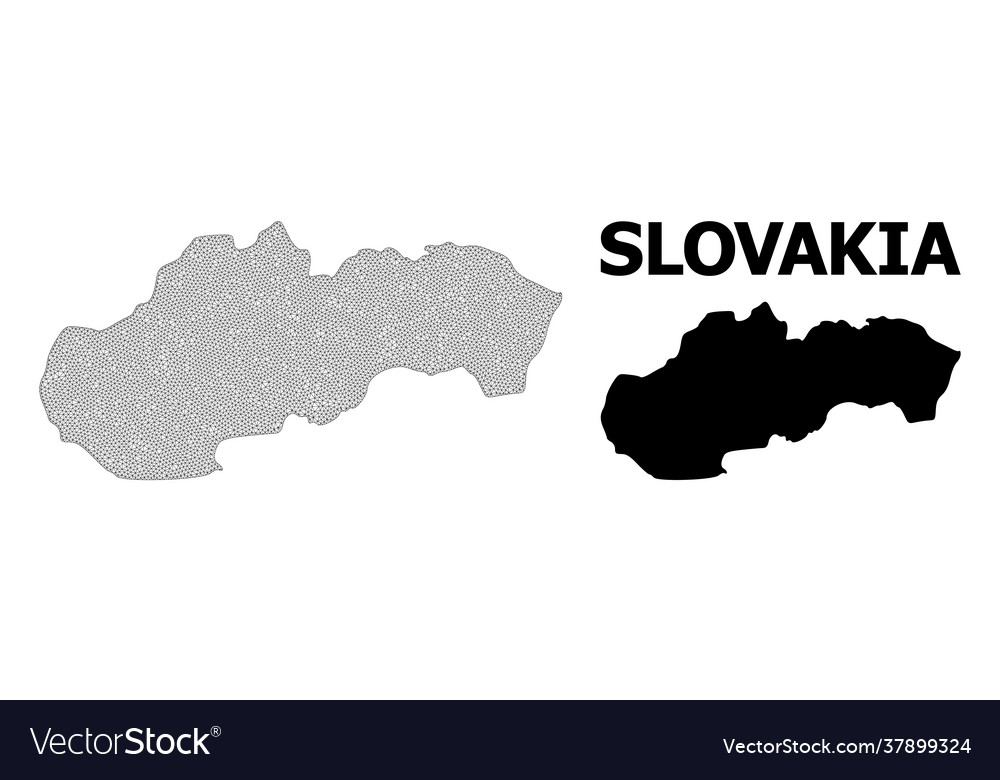 Polygonal network mesh high resolution map Vector Image Polygonal network mesh high resolution map