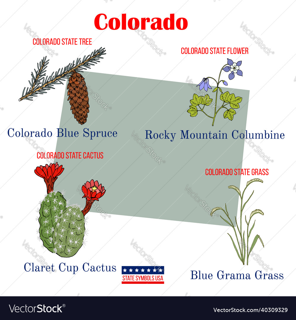 Colorado set of usa official state symbols