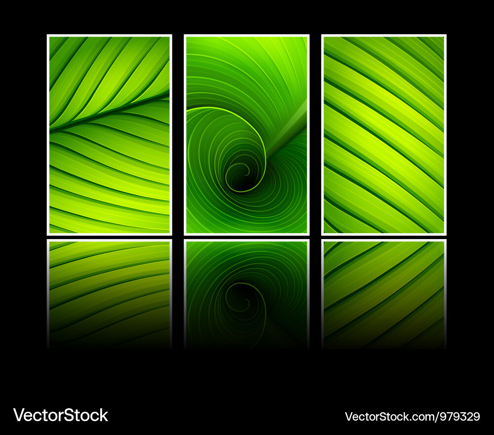 Green leaf Royalty Free Vector Image - VectorStock