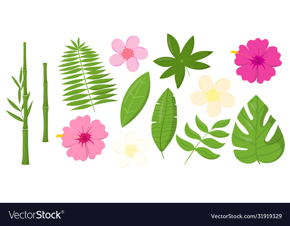 Set tropical leaves flowers and bamboo