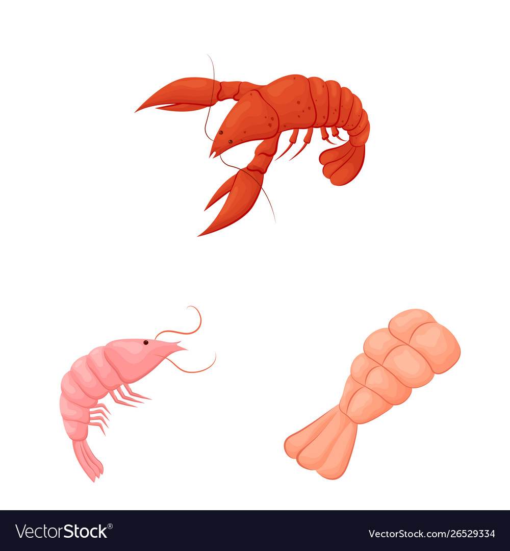Isolated object shrimp and crab icon