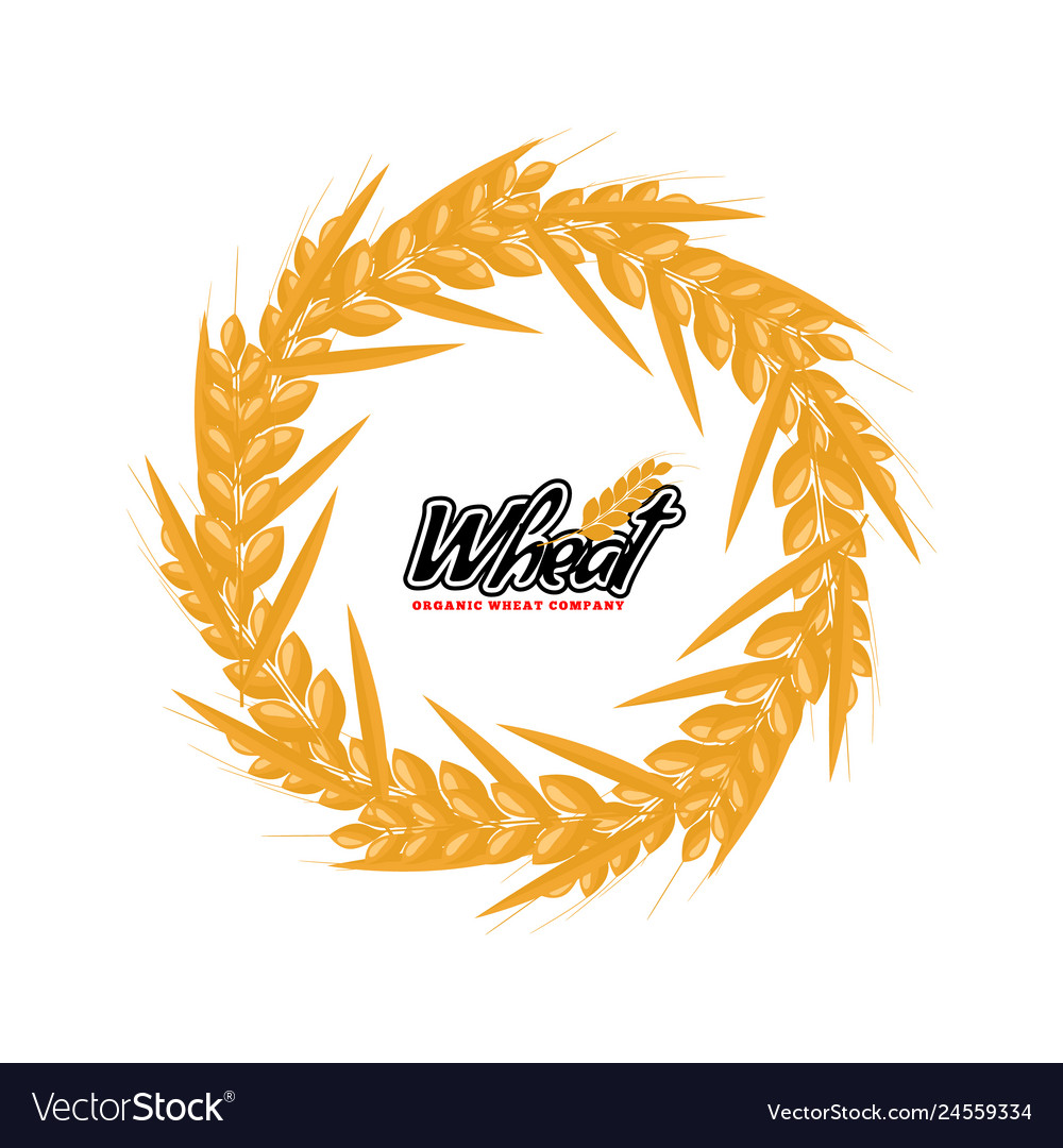 Wheat logo design with circle or round shape