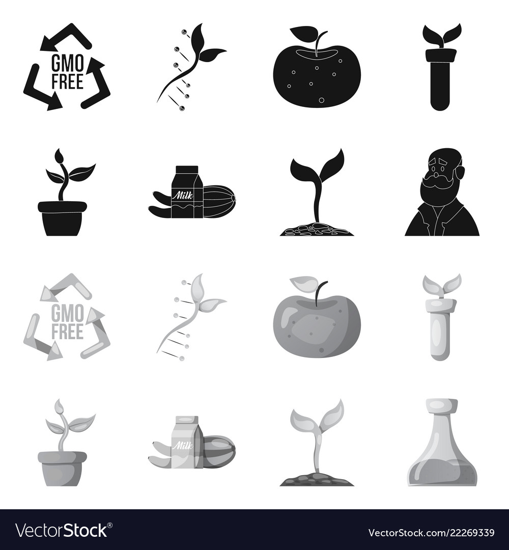 Isolated object of and icon set ve vector image Isolated object of and icon set ve