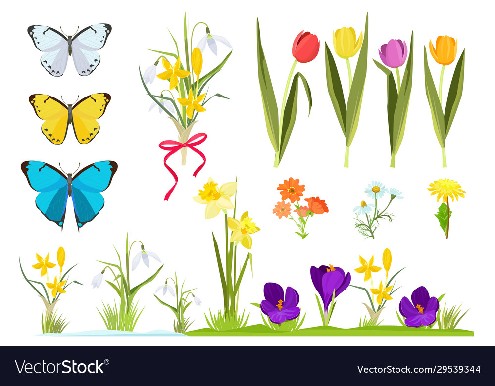 Cartoon flowers spring plants gardening set Vector Image