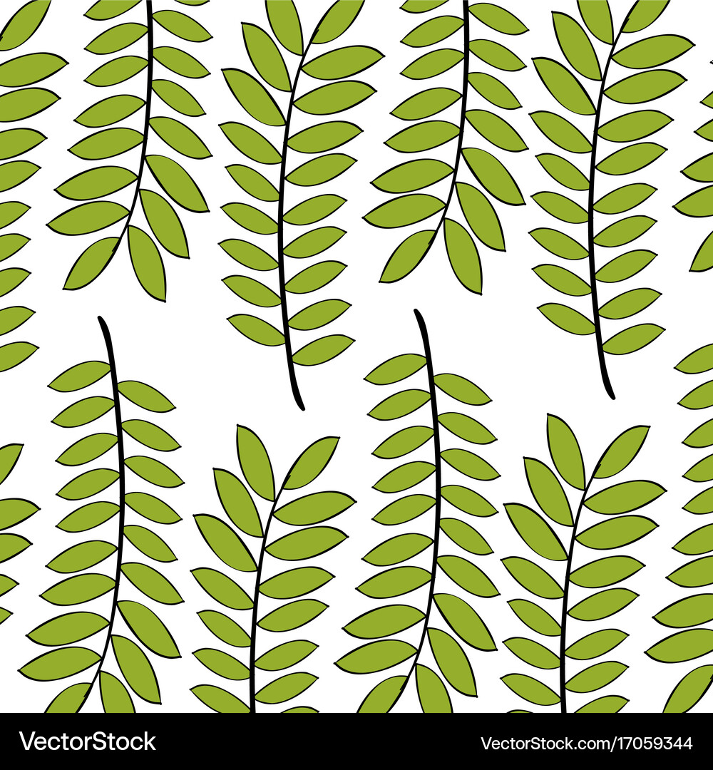 Leafs plant decorative pattern Royalty Free Vector Image