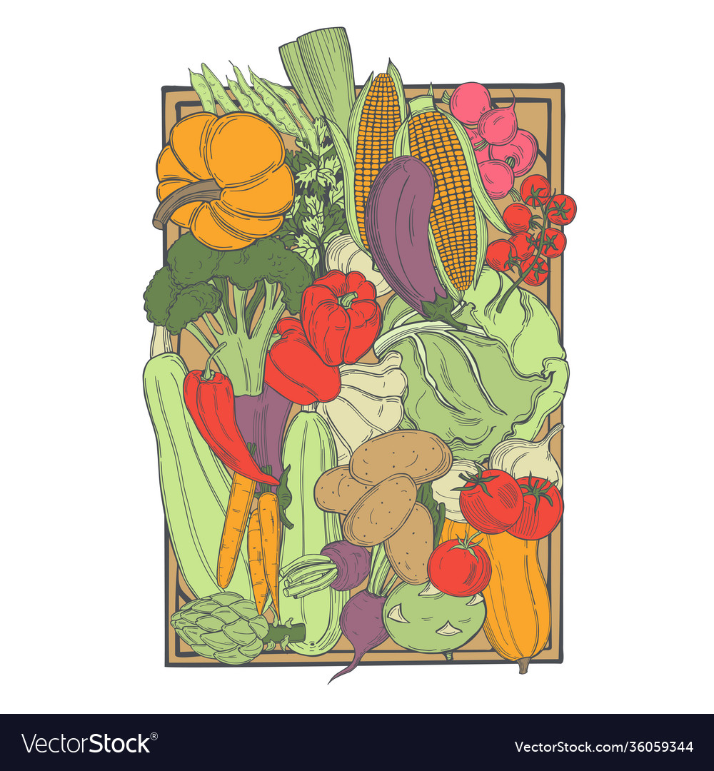 Sketch vegetables