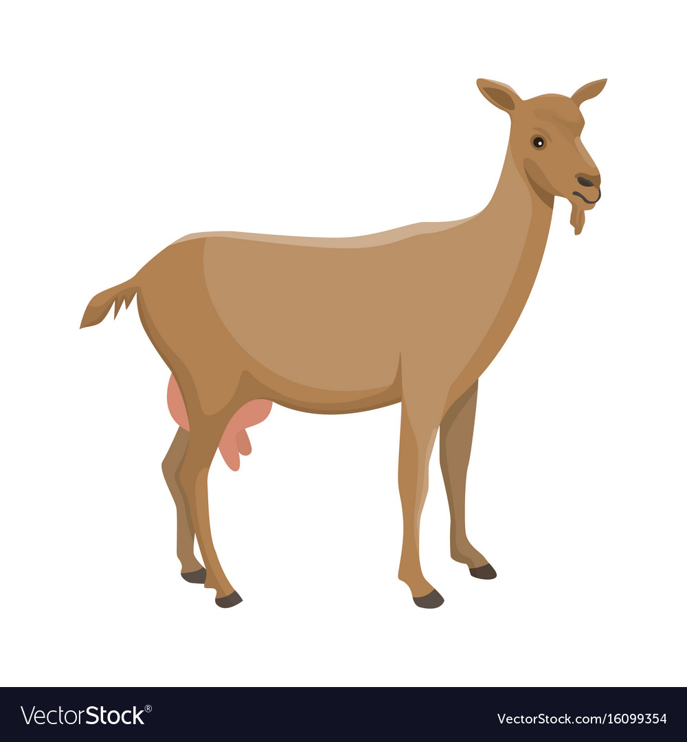 A nanny goat Royalty Free Vector Image - VectorStock A nanny goat Royalty Free Vector Image - VectorStock