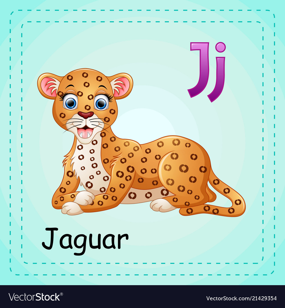 Animals Alphabet J Is For Jaguar Royalty Free Vector Image